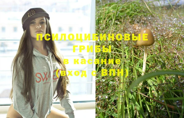 прущая мука Тобольск