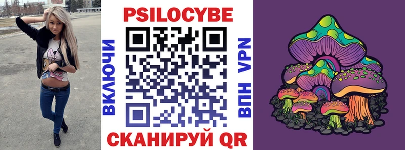 где купить наркоту  Зея  Псилоцибиновые грибы прущие грибы 