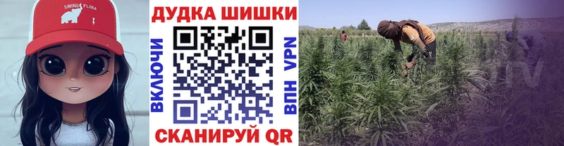 где купить наркоту  блэк спрут онион  Марихуана LSD WEED  Зея 